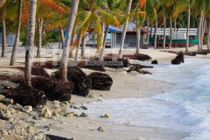 Hanimaadhoo