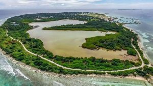 Kfushi-mangrove