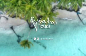 Vaadhoo Tours