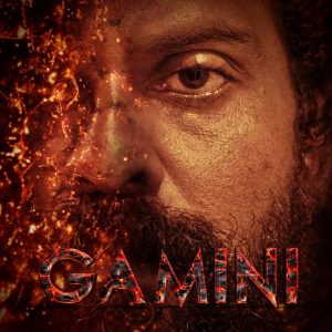 GAMINI Asim