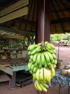 banana