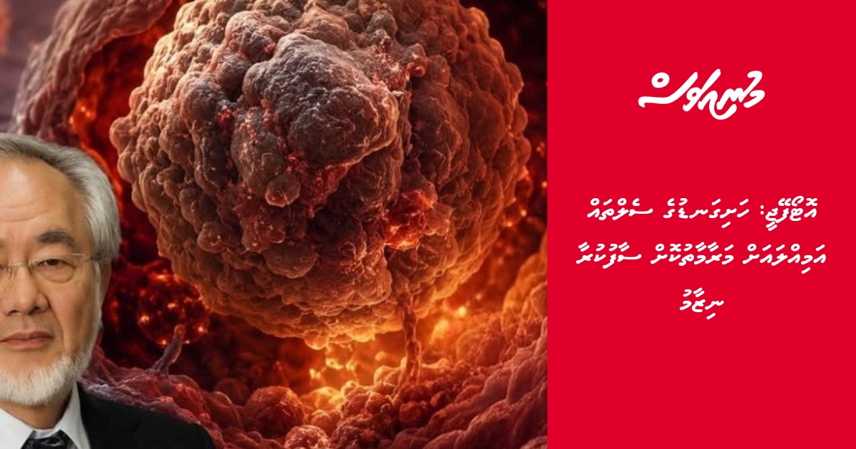 AUTOPHAGY: Hashigan'duge cell thah amillayah maraamaathukoh saafukuraa ...
